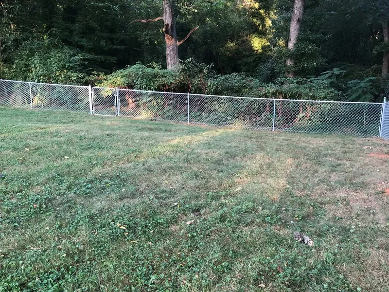 Chain-link fence with a gate along the edge of a wooded backyard