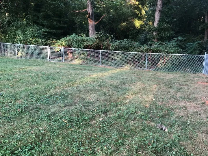 Chain-link fence with a gate along the edge of a wooded backyard